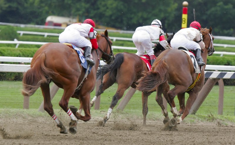 horse racing 3 jockeys from back on horses in full speed